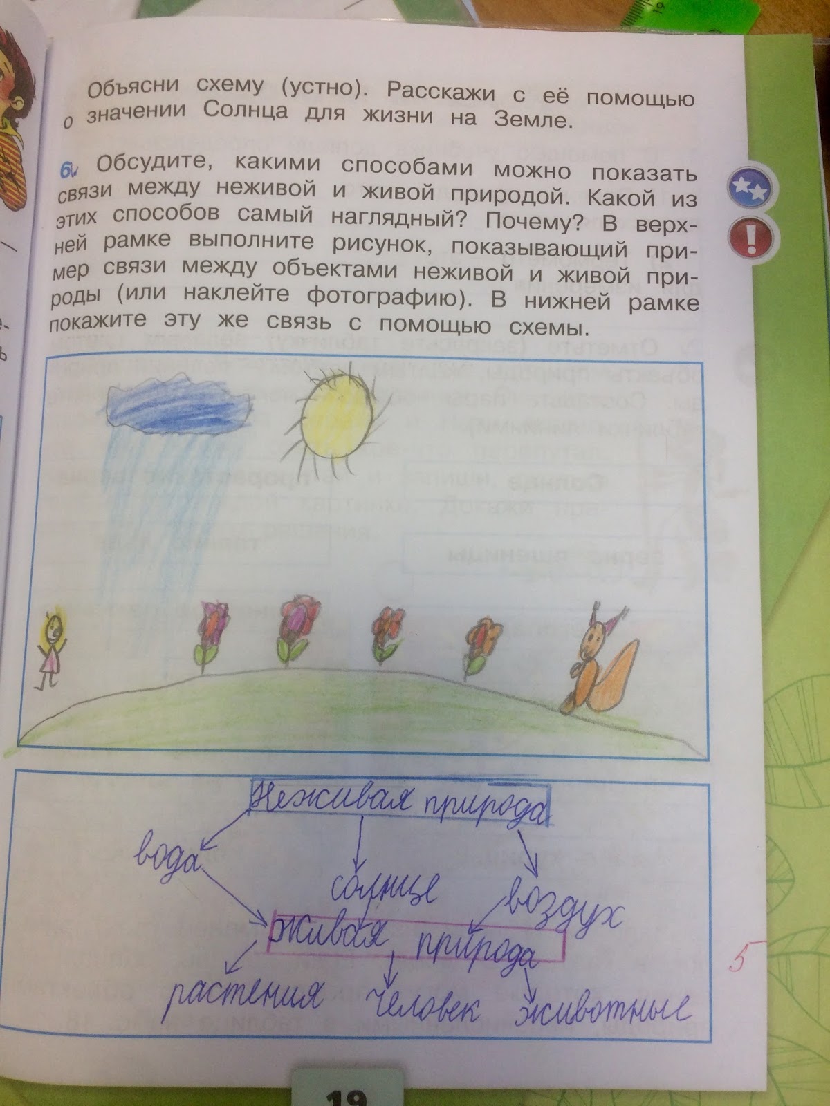 Какими способами можно показать связи между неживой и живой
